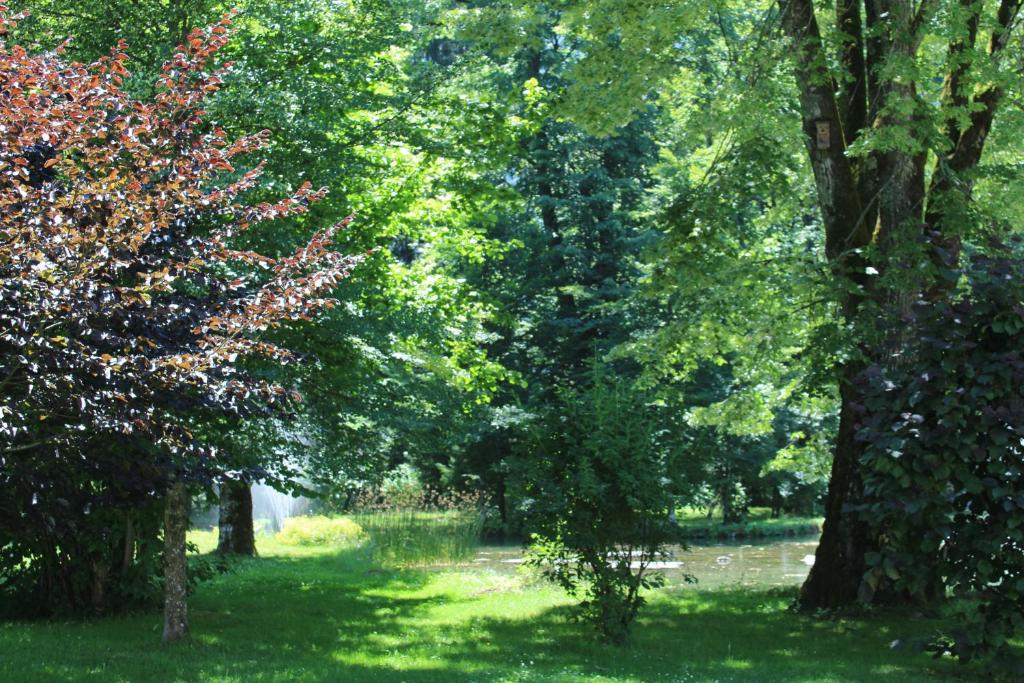 Zahrada ubytování Appartement 21