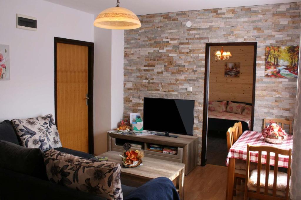 Televízia a/alebo spoločenská miestnosť v ubytovaní Vila Zelena oaza