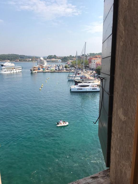 Naturlandskabet i nærheden af lejligheden