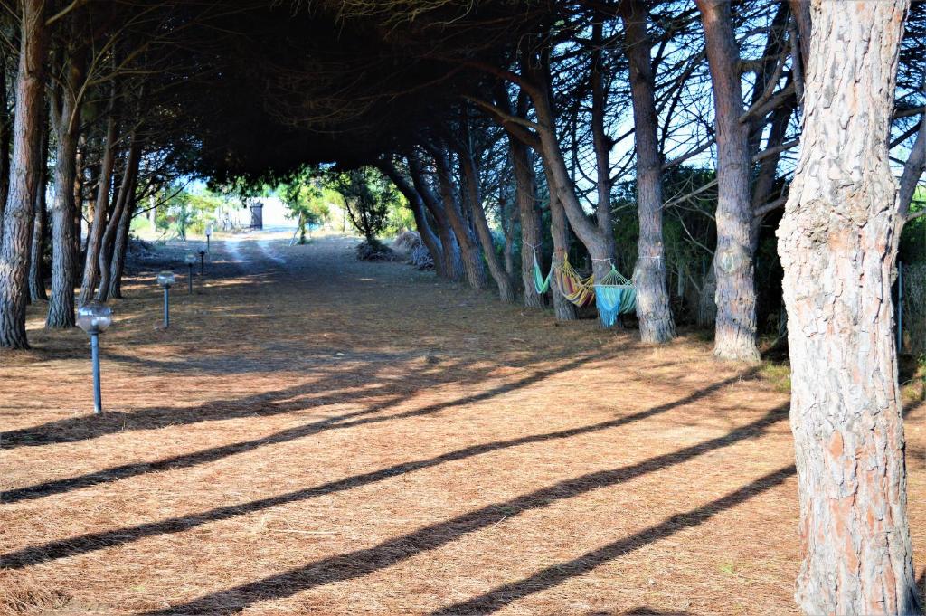 Pineta Spiaggia Grande 2 - Casa Vacanze Fronte Mare