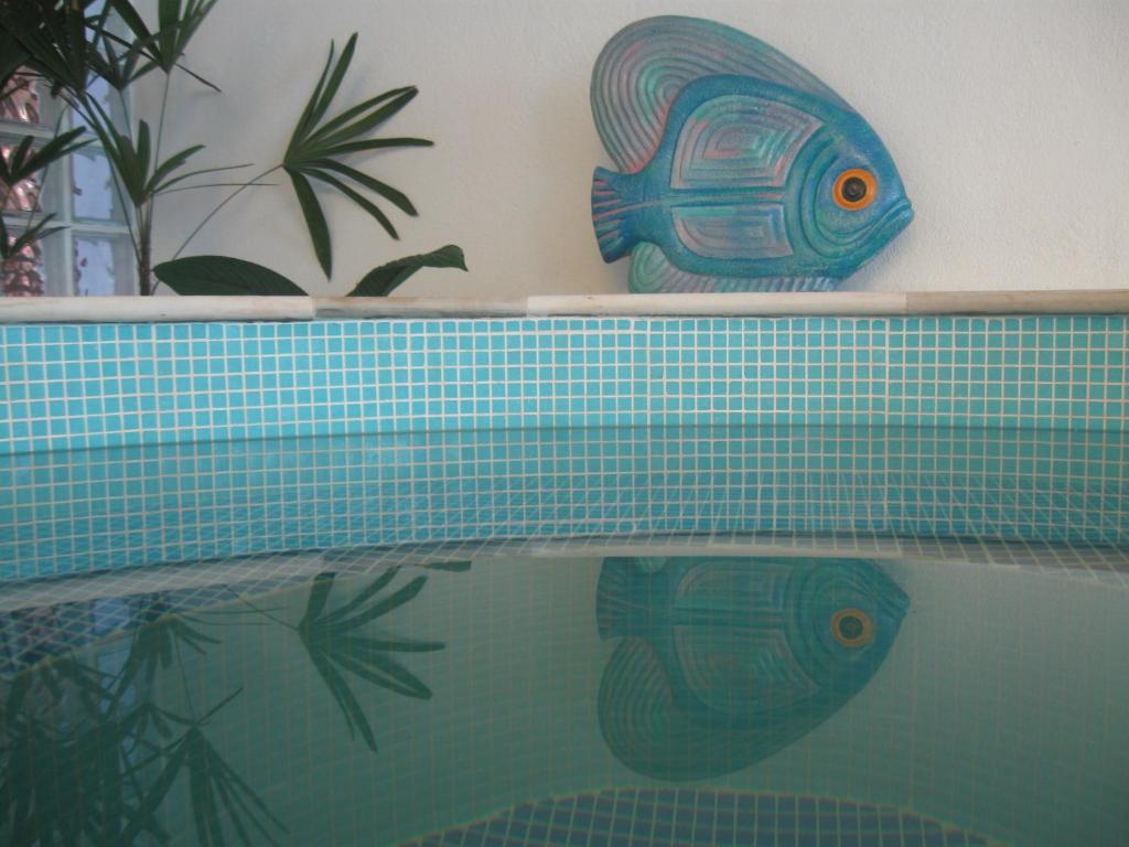  Hotel Pousada Portal da Palmeira