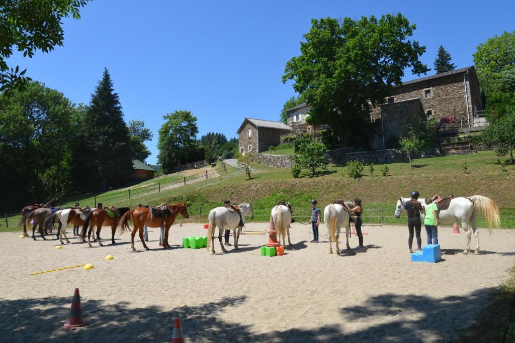 un grupo de personas de pie alrededor de los caballos en la playa en Les Ecuries de La Sabatarié en Cambounès