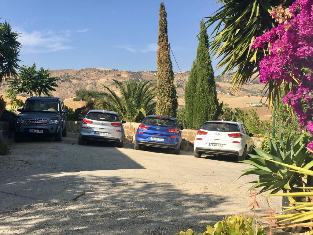 Finca Las Campanas II, Villanueva de la Concepción – Updated ...