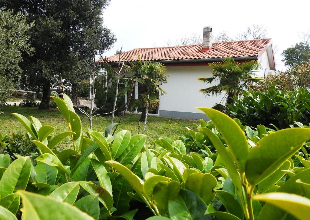 Ogród w obiekcie SEASIDE VACATION RENTAL 4TUNA