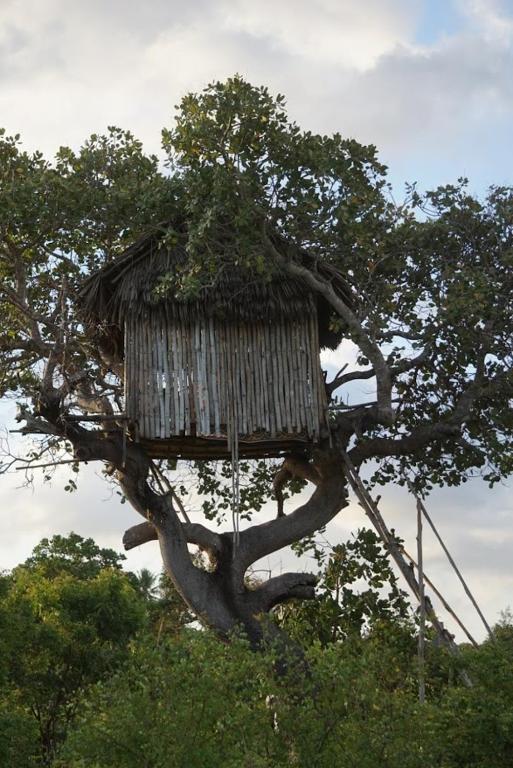 Fotografie z fotogalerie ubytování Mida Creek Nature Camp v destinaci Watamu