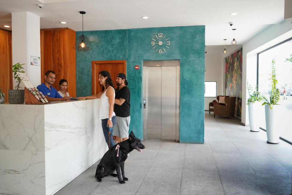 Hosté ubytování Hotel & Suites Arges - Centro Chetumal