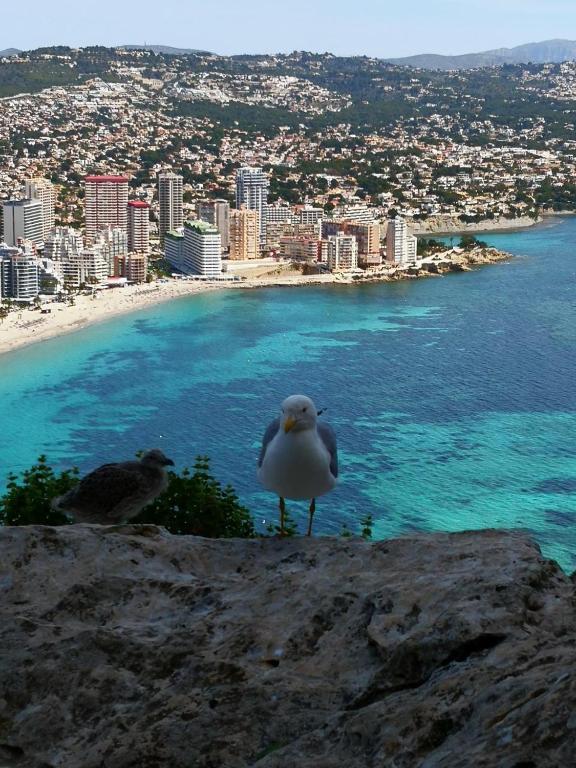 Voramar, Calpe – Bijgewerkte prijzen 2023