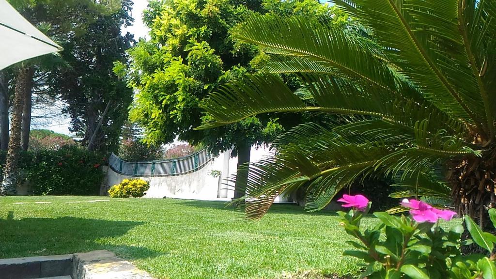 Photo de la galerie de l'établissement Villa delle Muse, à Fontane Bianche