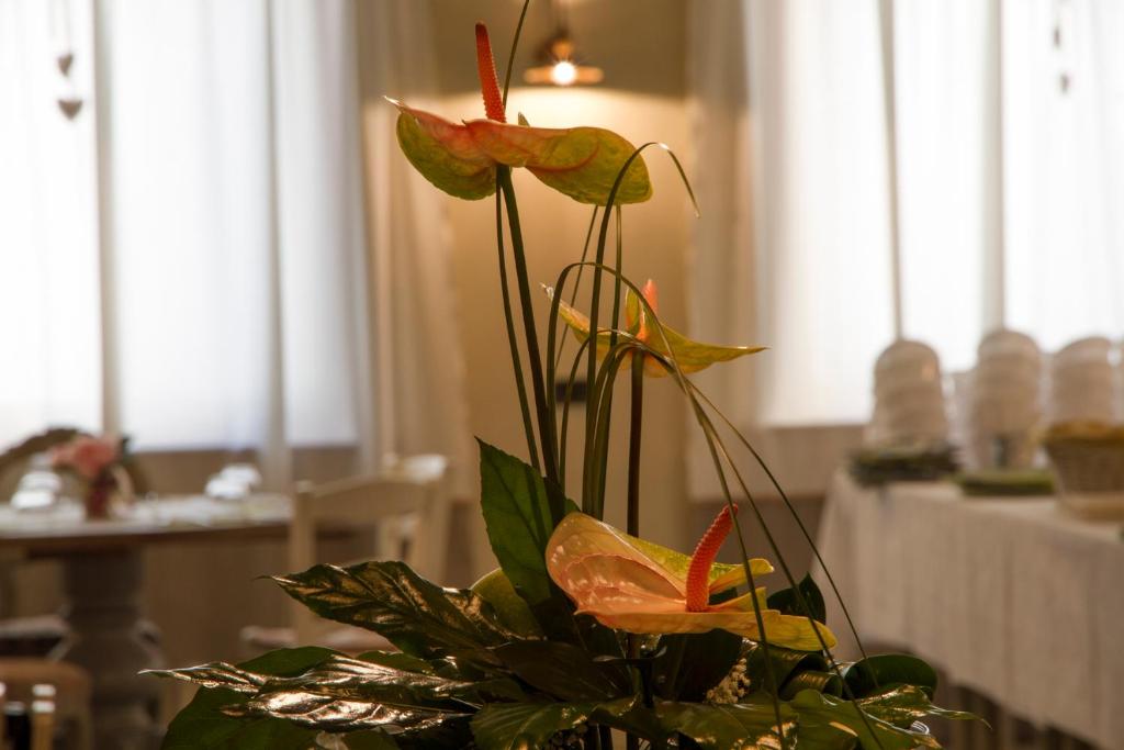 Restaurace v ubytování Hotel Europa