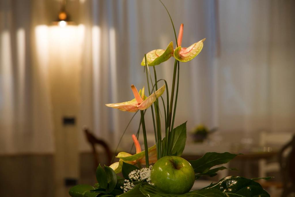 Fotografie z fotogalerie ubytování Hotel Europa v destinaci Viadana