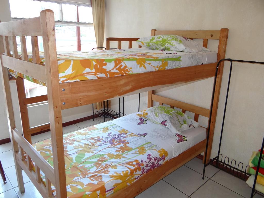 Hotel & Hostel Sloth Backpackers - Lit Dans Une Salle De Dortoir Féminine à 4 Lits