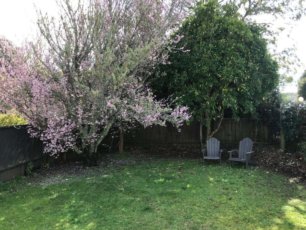 Aotearoa Lodge - Resim 16