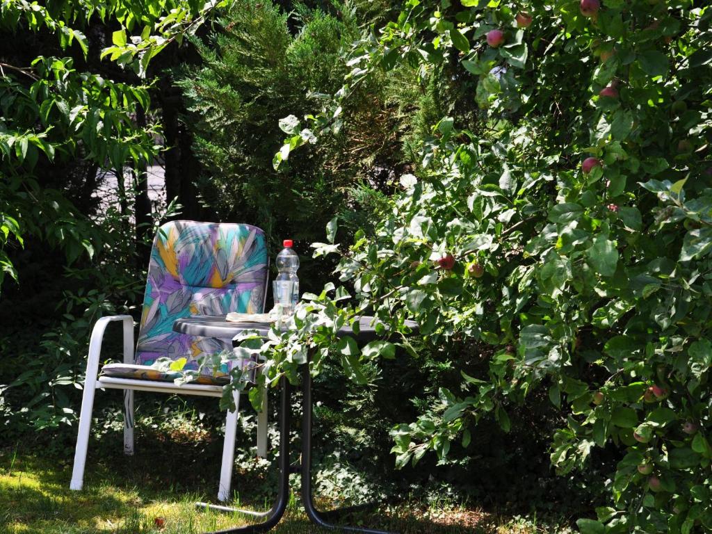 a chair with a bottle of water sitting next to a tree at Bunte Burg in Ebenweiler