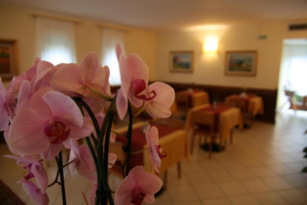 Fotografie z fotogalerie ubytování Hotel Villa Nadia v destinaci Malcesine
