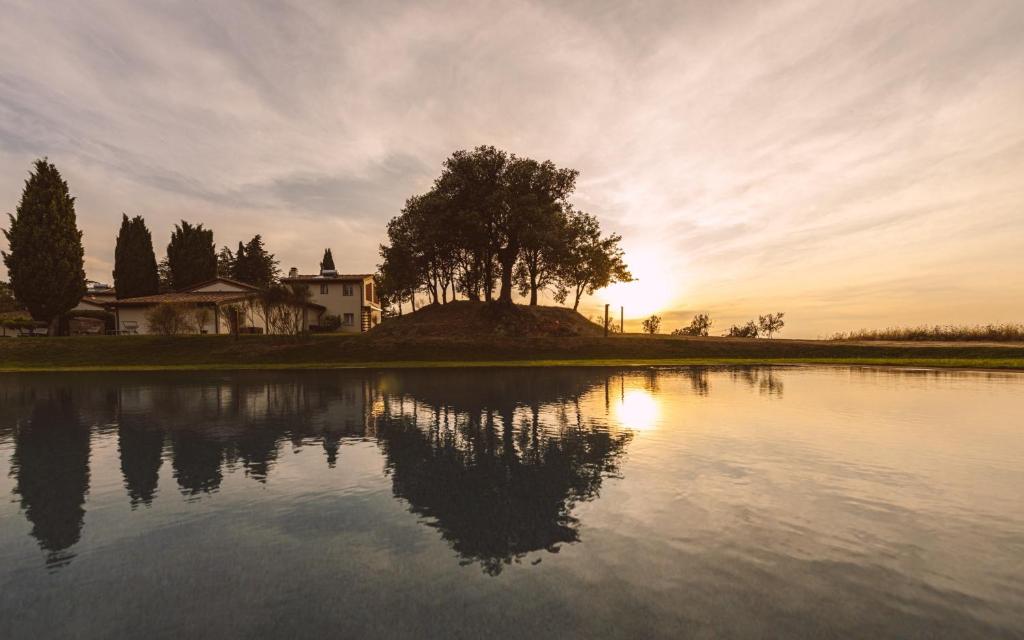 ガンバッシ・テルメにあるBorgo Le Colline Luxury Agriturismo in Tuscanyの湖の中の島の木