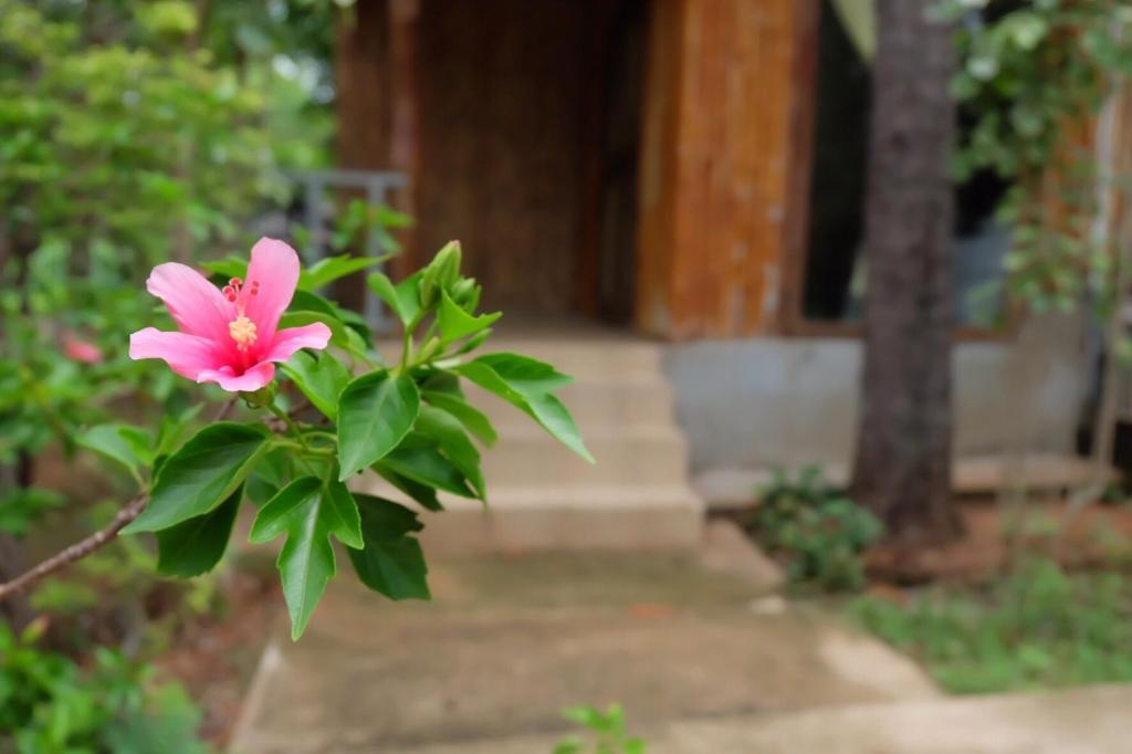 Promma Farm Resort - 带花园的皇后室