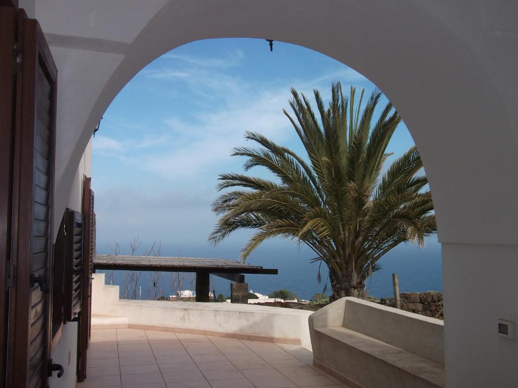 une arche avec un palmier et l'océan dans l'établissement Dammuso Levante in c/da Tracino a Pantelleria, à Pantelleria