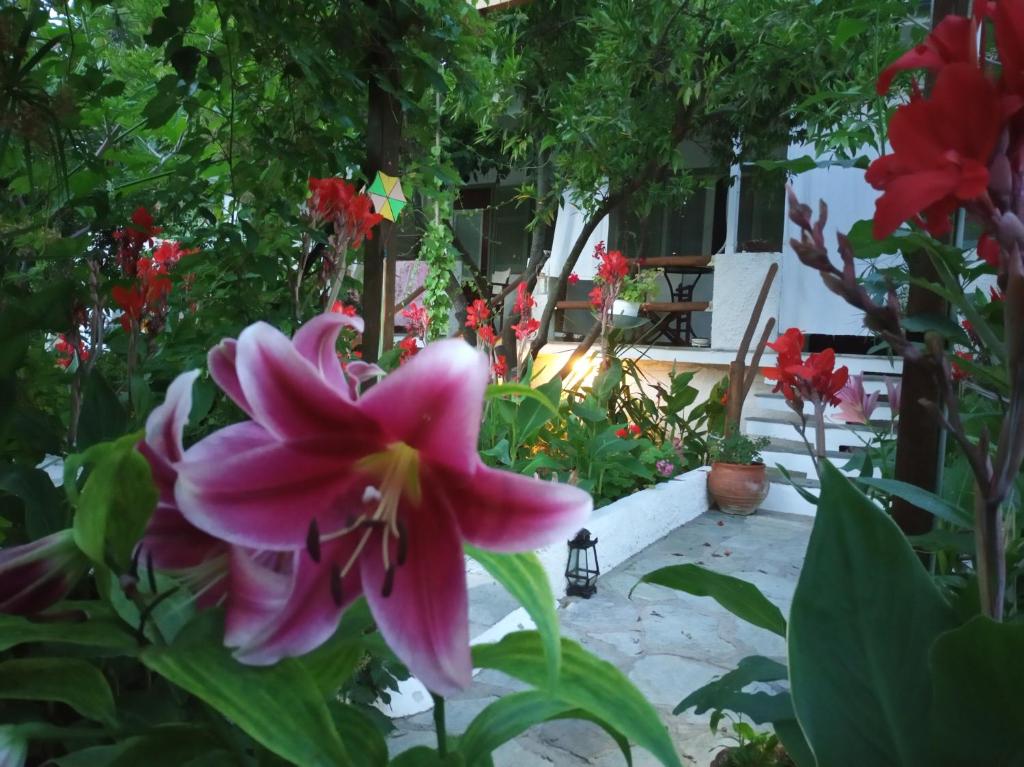 Zahrada ubytování Stamatia's Garden