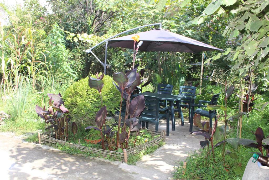 Zahrada ubytování Guest House Barbi