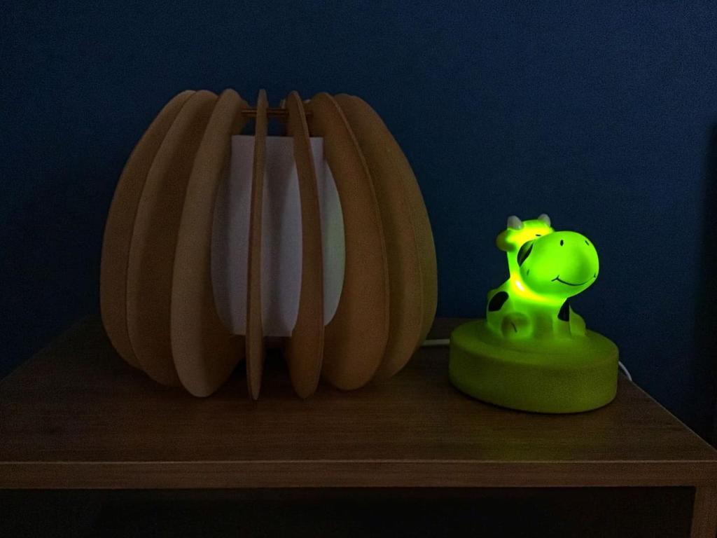 Disneyland cosy Apartment - 19