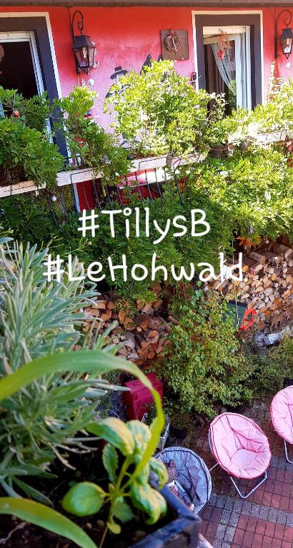 Gallery image of Tilly&#39;s B&amp;B and apartment house in Le Hohwald