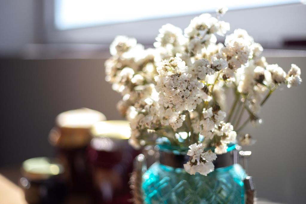 Quinta Da Estrada Winery Douro Valley - 15