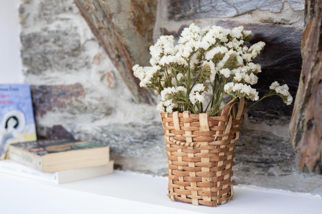 Quinta Da Estrada Winery Douro Valley - 7