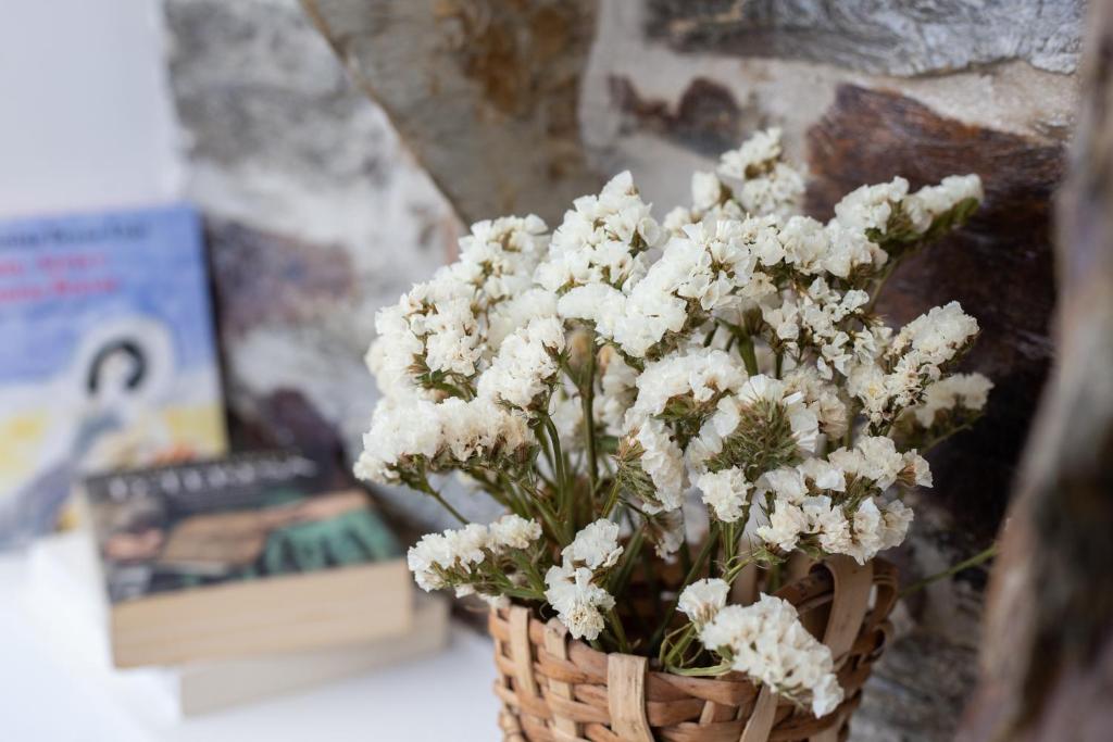 Quinta Da Estrada Winery Douro Valley - 4