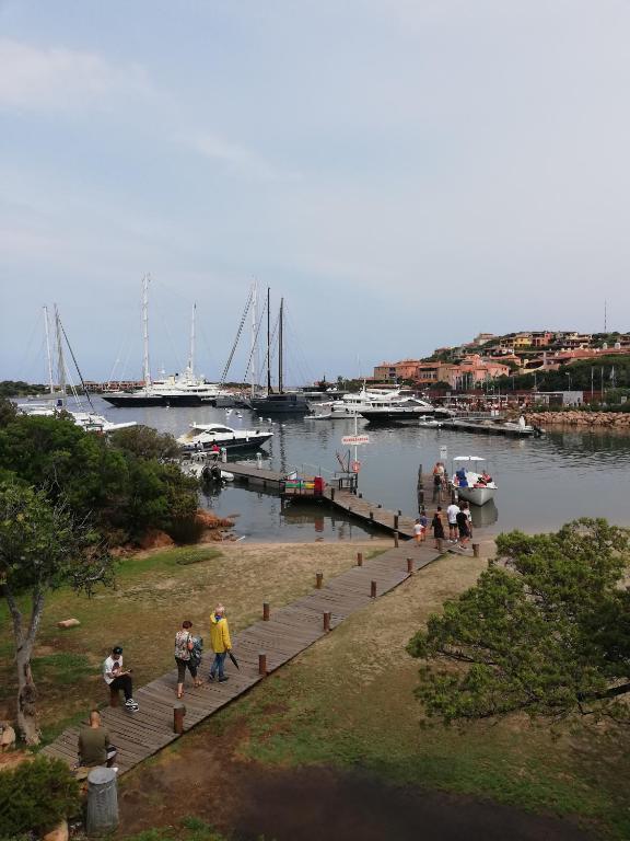 Príroda v okolí apartmánového hotela