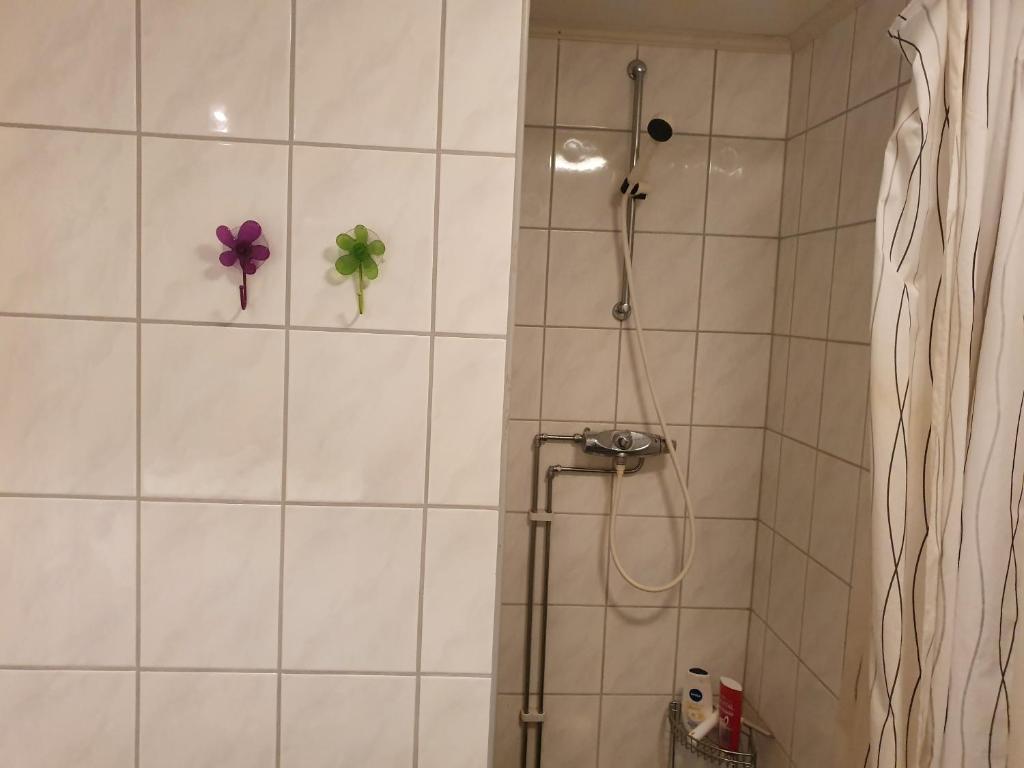 Koupelna v ubytování Bårdshaug Studio Apartment