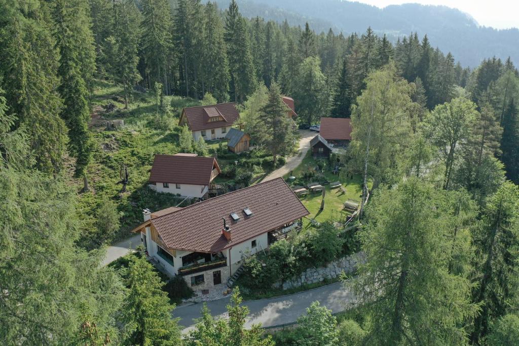 een luchtzicht op een huis in een bos bij Guesthouse Planinski Dom Majerhold in Solčava