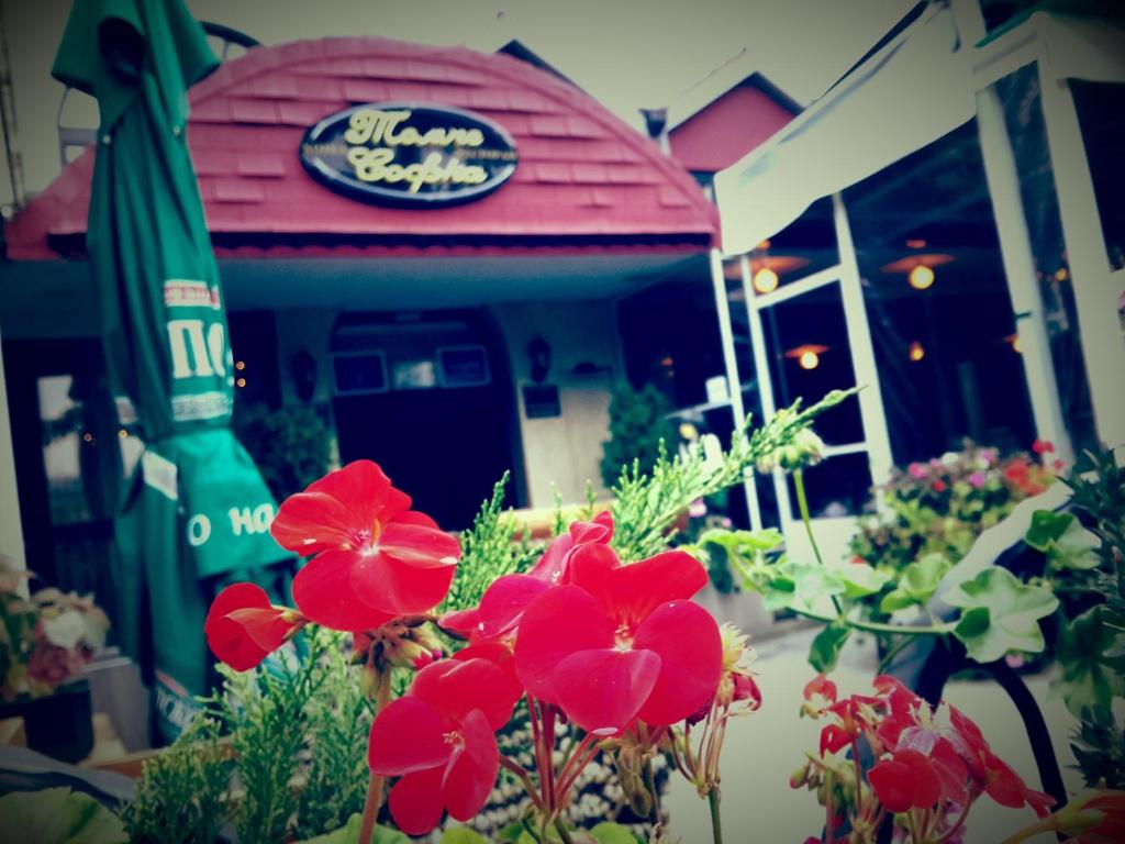 un grupo de flores rojas delante de un restaurante en Hotel Tomce Sofka, en Skopje