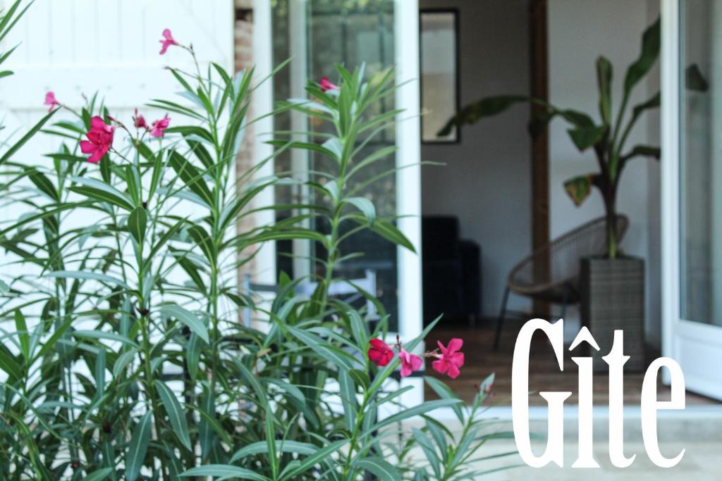 La Bastide De Negra - Apartamento Con Terraza