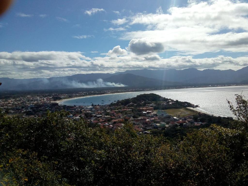  Seiva de Luz
