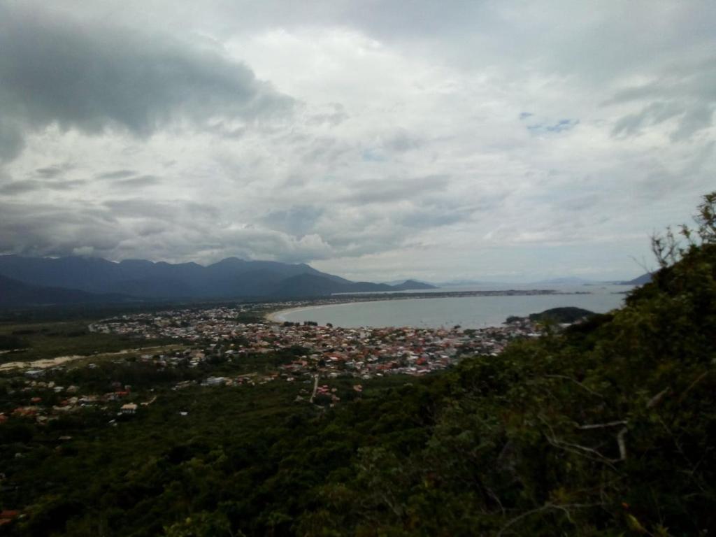  Seiva de Luz