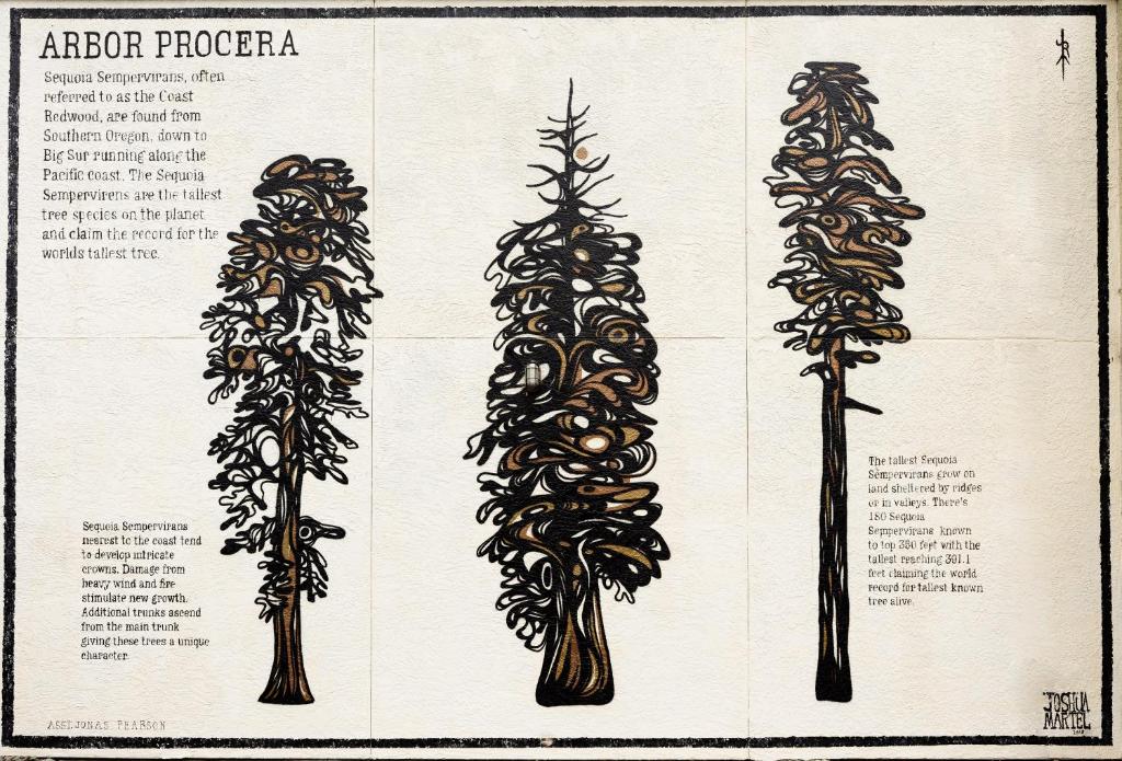 a drawing of four pine trees on a paper at The Redwood Riverwalk, a boutique hotel in Fortuna