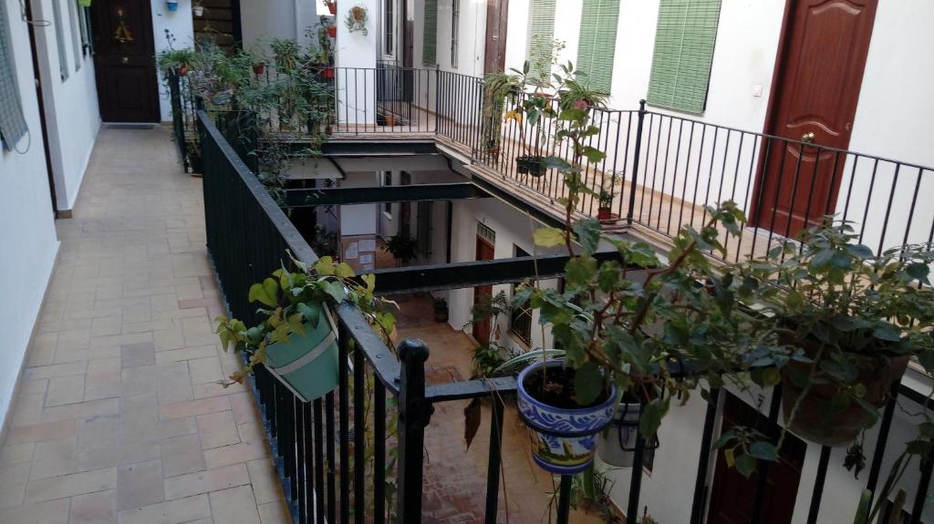 Acogedor Apartamento en Triana Sevilla, Seville – Updated ...
