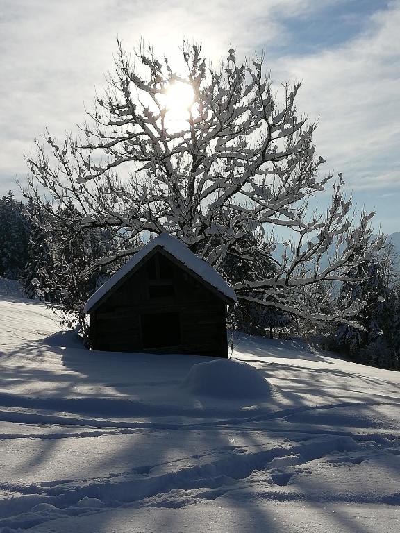 Ausblickhof Geiger talvel