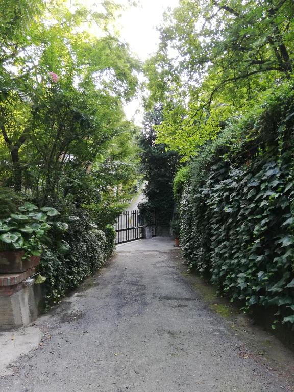 Nel centro di Torino un'oasi verde - Appartamento Con Due Camere Da Letto