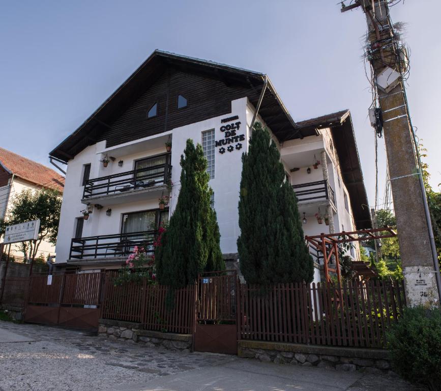 una casa con dos árboles delante de ella en Pensiunea Colt de Munte en Corbeni