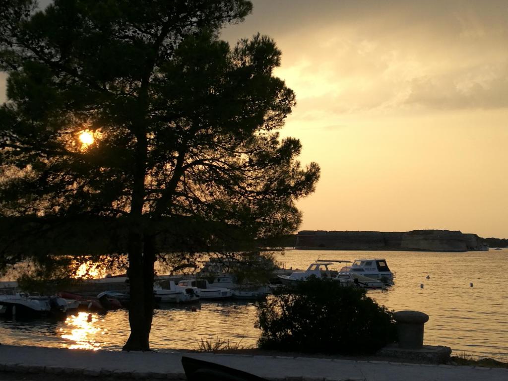 Guesthouse Villa DomeNico, Lozovac (updated prices 2025) - 14