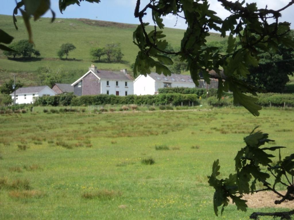 a white house in the middle of a green field at Merlin Cottages in Llandovery