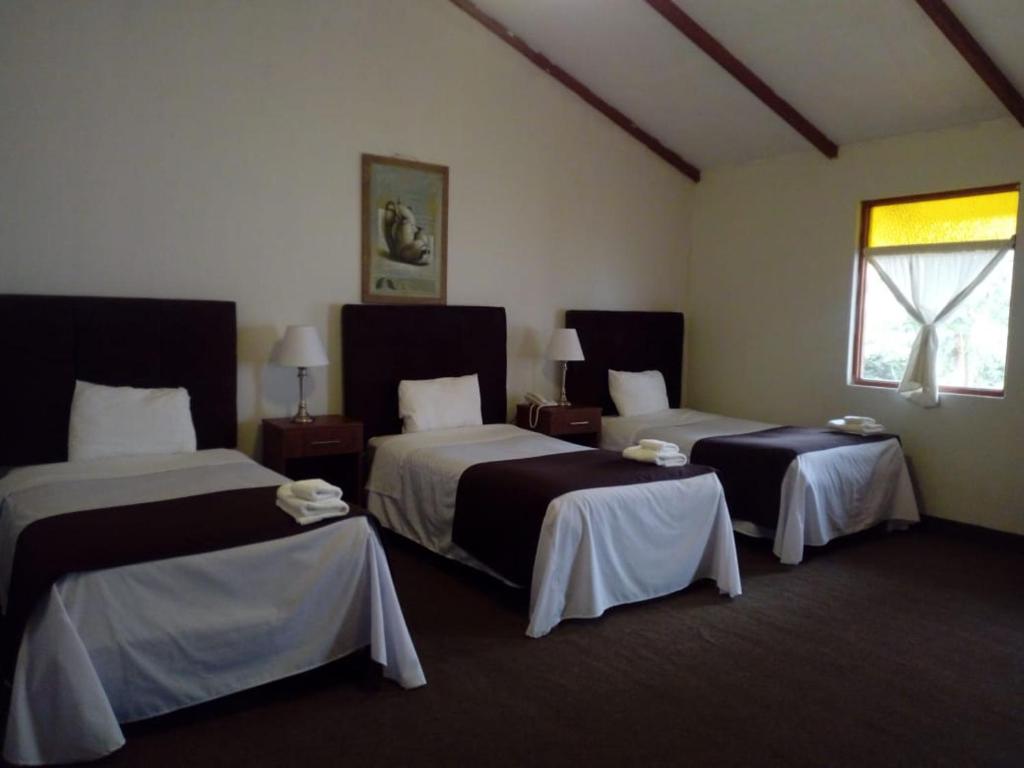 Casona Plaza Ecolodge Colca - Standard Triple Room