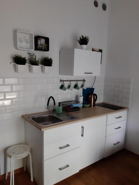 Apartament Nad Starą Odrą - 17