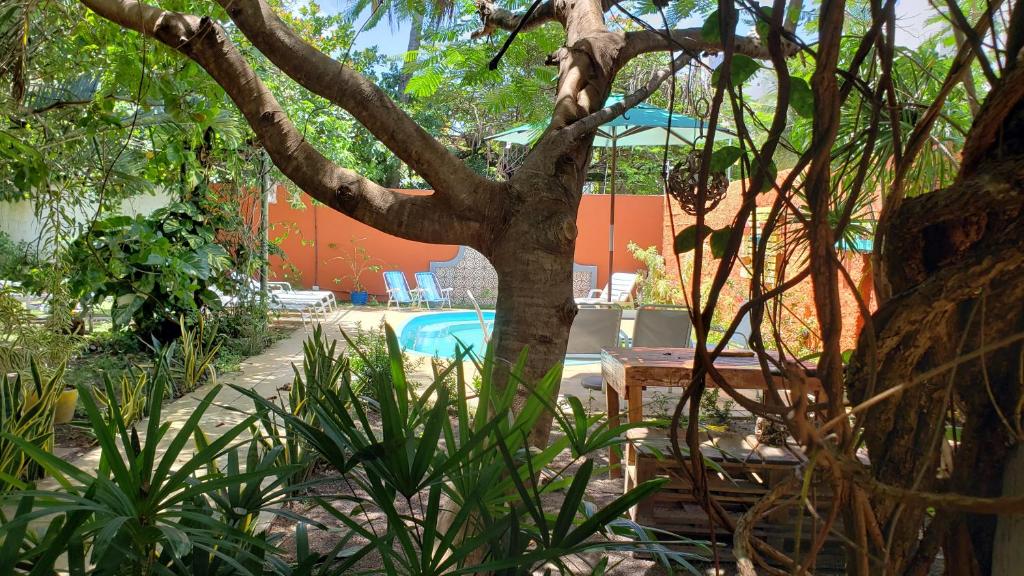  Caribessa Eco House