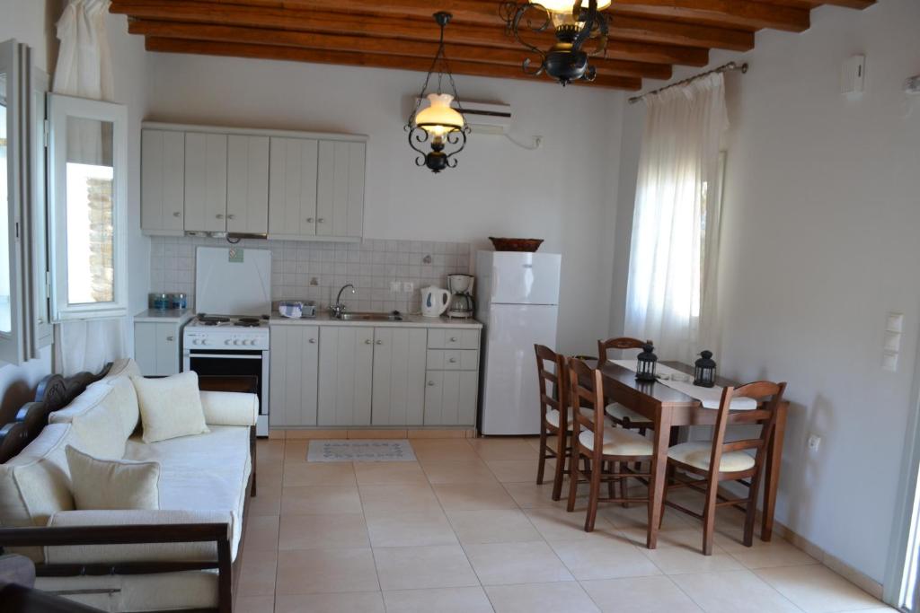 Kuchyň nebo kuchyňský kout v ubytování Villa Ioanna Tinos