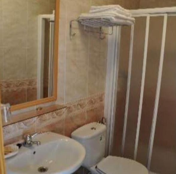 uma casa de banho com um lavatório, um WC e um espelho. em Apartamentos Herranz em Alcoroches