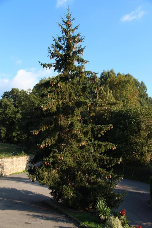 Příroda nedaleko hotelu