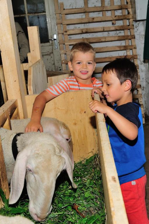 Kép Linderhof szállásáról Bressanonéban a galériában