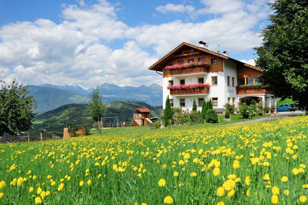 a house on a hill with a field of flowers at Linderhof in Bressanone